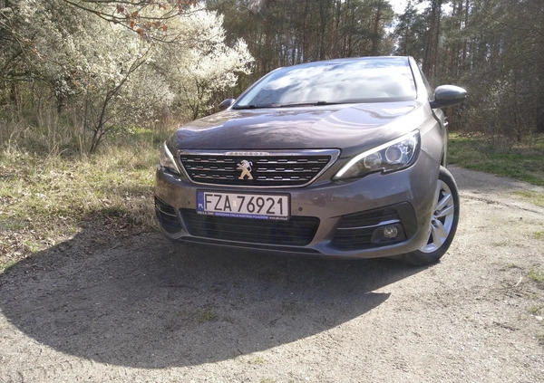 Peugeot 308 cena 50900 przebieg: 115000, rok produkcji 2020 z Żary małe 79